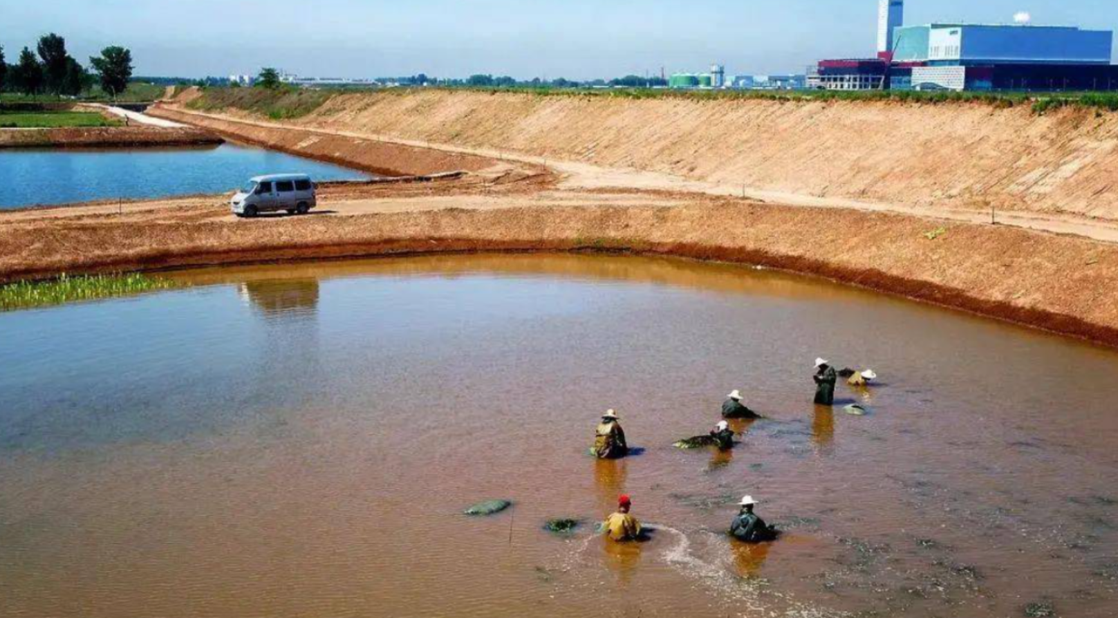 绿美新特人工湿地功能滤料:生态净水的“隐形心脏”